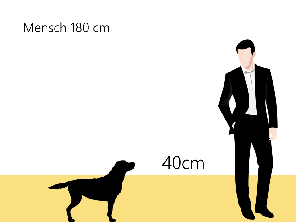 Elo Hund Größe Größenvergleich - Hunde123.de