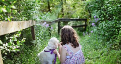 besten Hunderassen für Familien - Hunde123.de