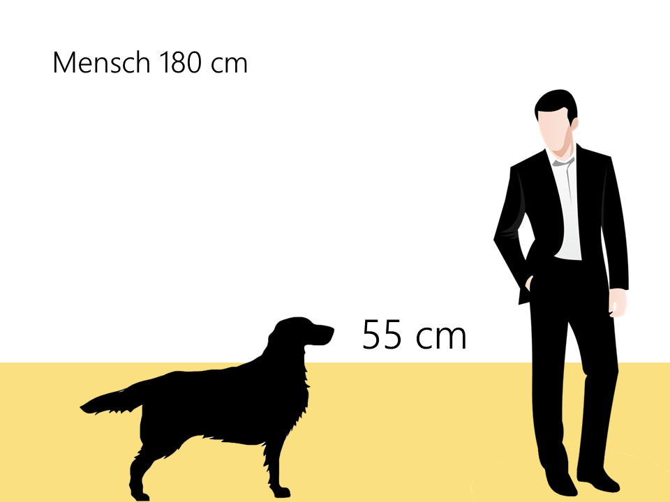 appenzeller sennenhund größe größenvergleich - Hunde123.de Hunderassen
